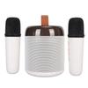 Wireless Karaoke Speakers RGB Light  5.3 Speaker with 2 Wireless Microphones Portable Karaoke Machine for Family Party