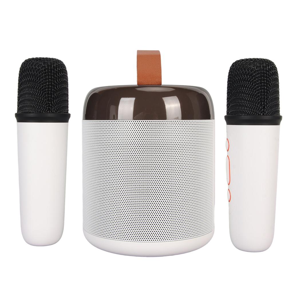 Wireless Karaoke Speakers RGB Light  5.3 Speaker with 2 Wireless Microphones Portable Karaoke Machine for Family Party