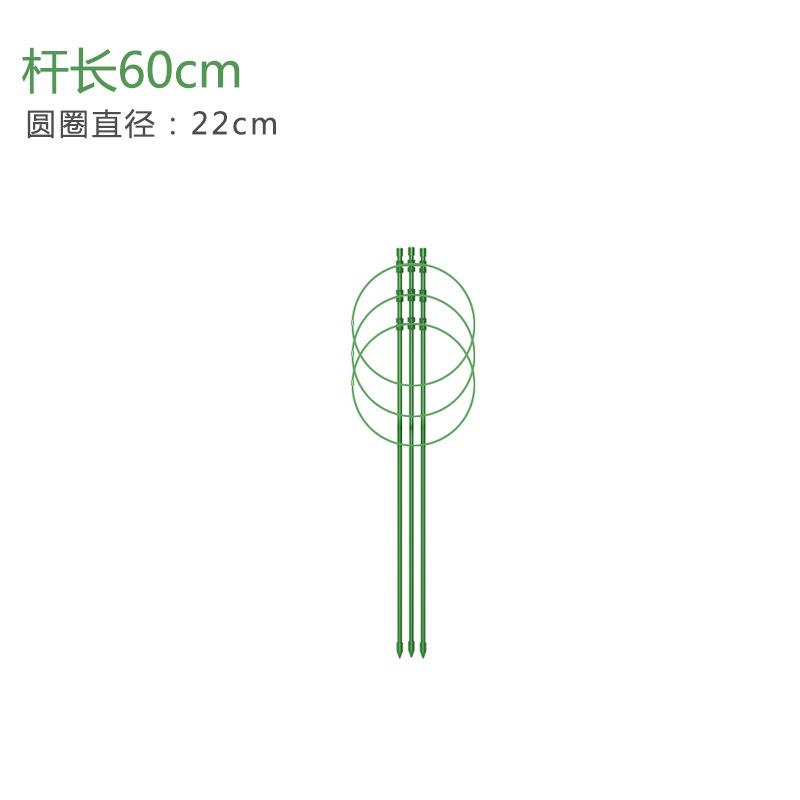 Plant Support Stakes with Circular Rings 60cm Length 22cm Diameter Garden Plant Climbing Support Frame for Vines and Flowers One Size