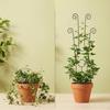 Plants Trellis for Potted Indoor Outdoor Multipurpose Sturdy Iron Metal Garden Tall Plant