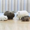 Simulation Wombat Toy Lovely Vivid Expression Birthday Gift Stuffed Guinea Pig Animal Toy for Girl