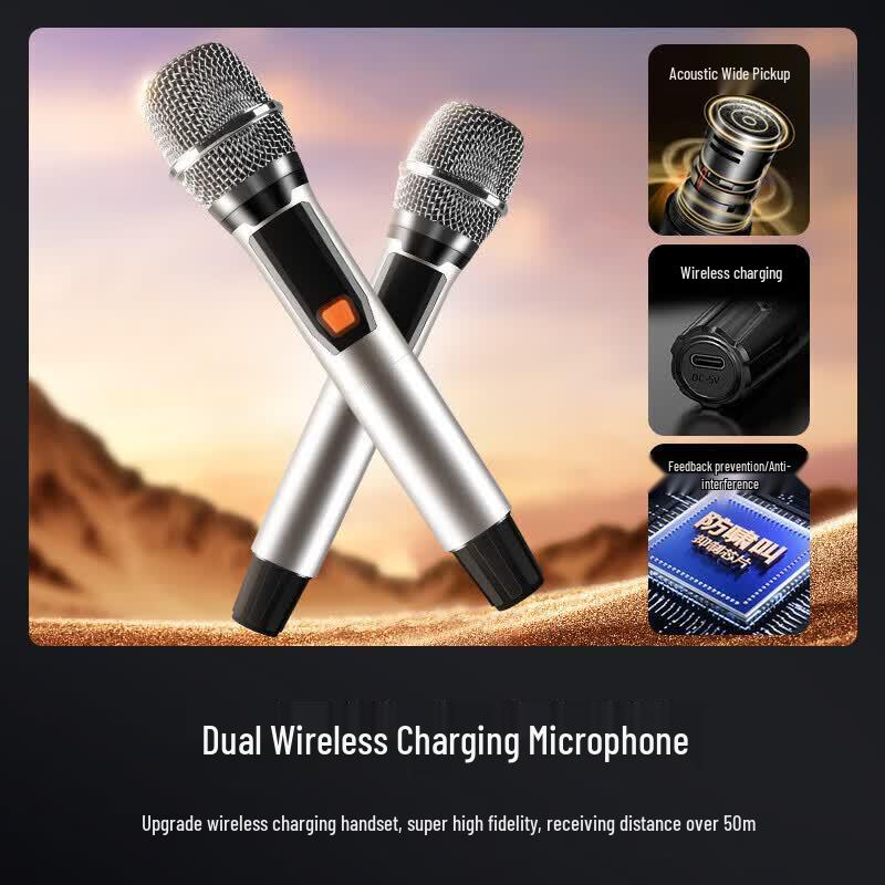 SAST WD-15 15-inch Portable Bluetooth KTV Speaker (CN version)