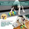 Dog Tumbler Leaky Food Ball Toy Slow Feeder Intelligence Pet Supplies Elliptical Track Rolling Ball for Dogs Training Snacks