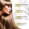 EELHOE Rosemary Oil Grows Hair Loss Treatment Bald Head Hair Regrowth Moisturizing Hair Scalp Massager Rosemary Essential Oil