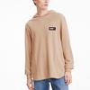 PUMA Sweatshirts Men's Pink Hooded Moderate Regular 582678-70
