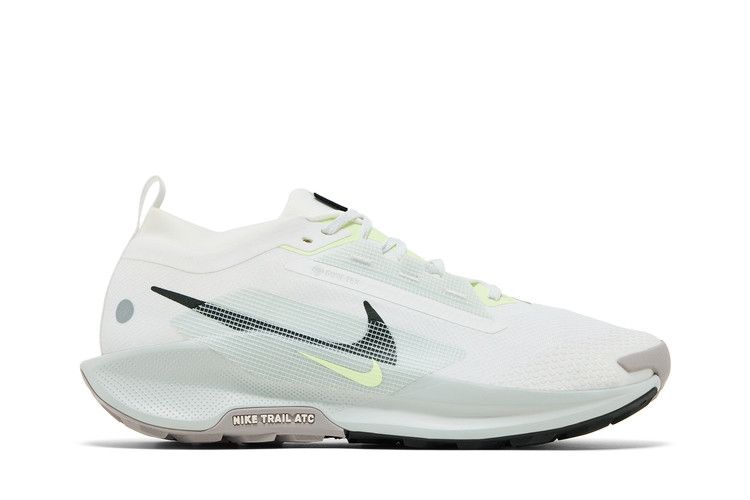 Nike Pegasus Trail 5 Gore-Tex Summit White Light Silver College Grey