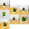 Gladiolus Fake Succulent Plant Pot With Pvc Material For Home Decor And Office Display