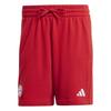 Mens DNA FC Bayern Munich Shorts