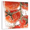 GLASPANEL FÜR DIE KÜCHE 60x65 Tomate