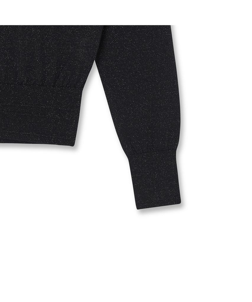 IOLO Women'S Shine Wool Mock Neck_Black