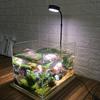 Retractable Height Aquarium Landscape Lights with Wood Board Plant Growth Light  Aquarium Lighting