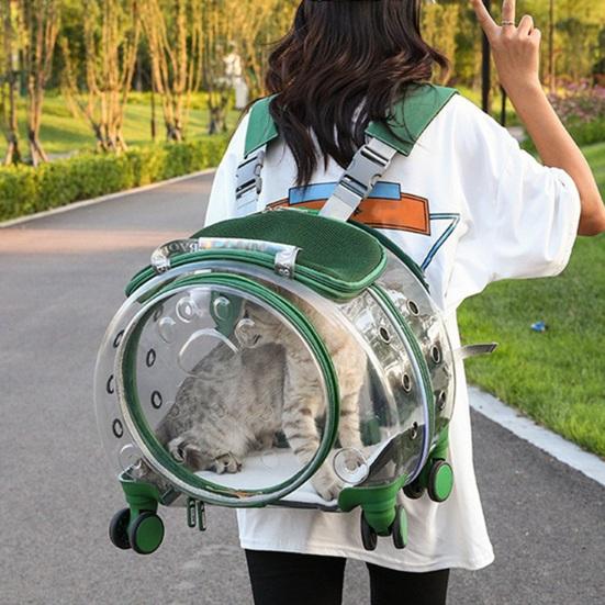 Pet Trolley Case Clear Ventilation Holes Silent Wheels Convenient Portable Cats