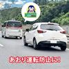 Baby on Board Car Sign, Recording, Baby Insign, Magnetic Sticker, For Cars, Made in Japan (Magnet, Penguin)