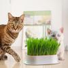 Cat Grass Planter Pet Cat Grass Growing Tray Hydroponic Soilless Planting Cat Grass Pot for Easy Growth