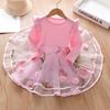 Girls Autumn Long Sleeve Dress Chic Tulle Splice Princess Dress For Kids Children Clothing