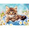 DIY Cat 5D Diamond Painting Full Round Drill Resin Animal Diamond Embroidery Cross Stitch Mosaic Kits Wall Art Home Decor Gift