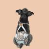 Dog Physiological Pants Cute Cartoon Strap Physiological Pants Dog Safety Pants Female Dog Menstrual Pants Anti Pet Dog Clothing
