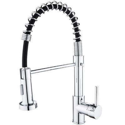Kitchen Tap with Pull-Out Shower Spring Kitchen Tap Single Lever Mixer Tap for Sink with Hand Shower Support Cold and Hot Water (Normal, Silver)