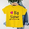SiblingThemed Girl Clothing Big Sister Little Sister Print Summer Kids T Shirt Graphic Shirt Girls Tops Sibling Cartoon Tshirt