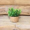 1Pcs Home Garden Furniture Decor Toy 1:12 Dollhouse Miniature Simulated Tree Potted Green Potted Plants Doll House Accessories