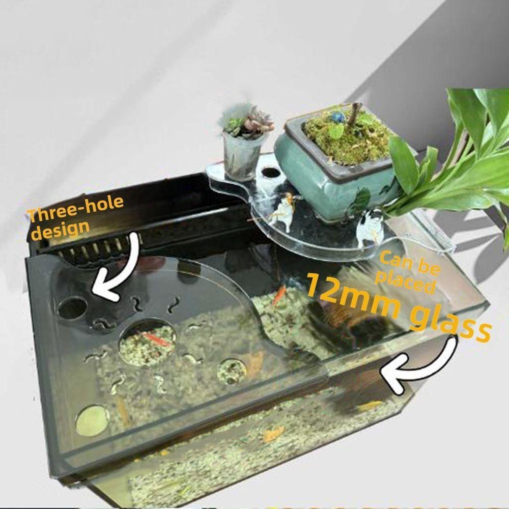 Triangle Fish Tank Corner Storage Rack Clear Coral Bracket  Coral Frag Storage