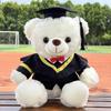 Graduation Gift University Doctorate Master's Bear Doll Teddy Bear Plush Toy Printed Gift Gift for Classmates
