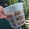 Set of 8 Transparent Orchid Flowerpots with Drain Trays for Supporting Root Development and Proper Water Drainage