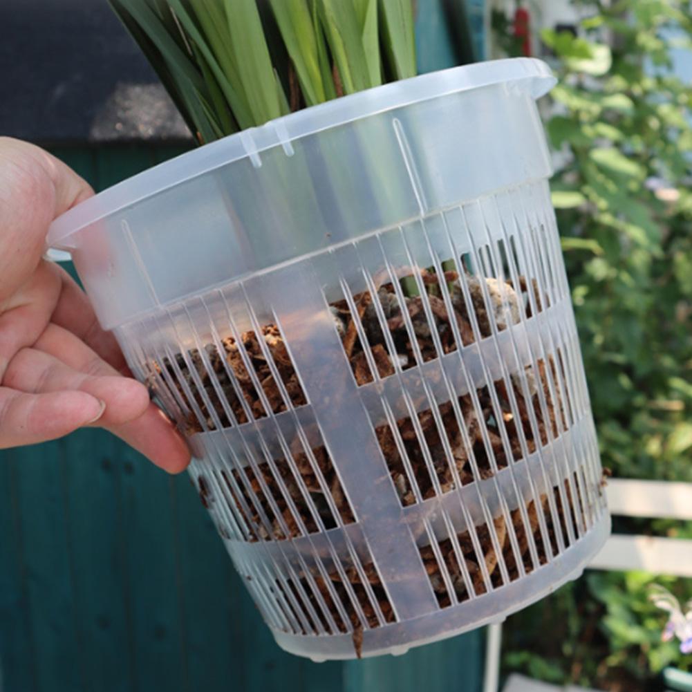 Set of 8 Transparent Orchid Flowerpots with Drain Trays for Supporting Root Development and Proper Water Drainage