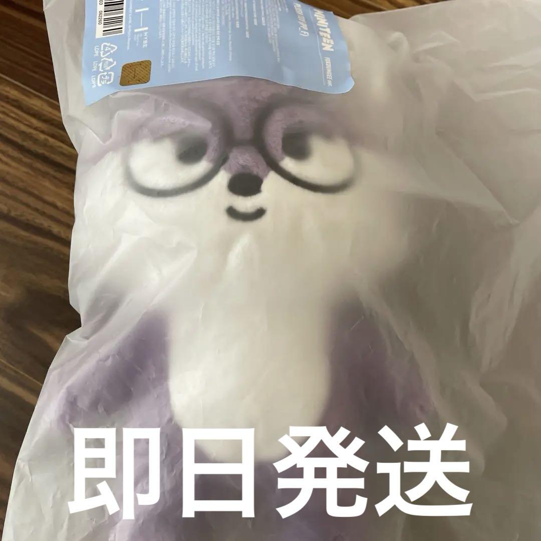 

[USED] SEVENTEEN Wonwoo MINITEEN Pop-up Plush Toy