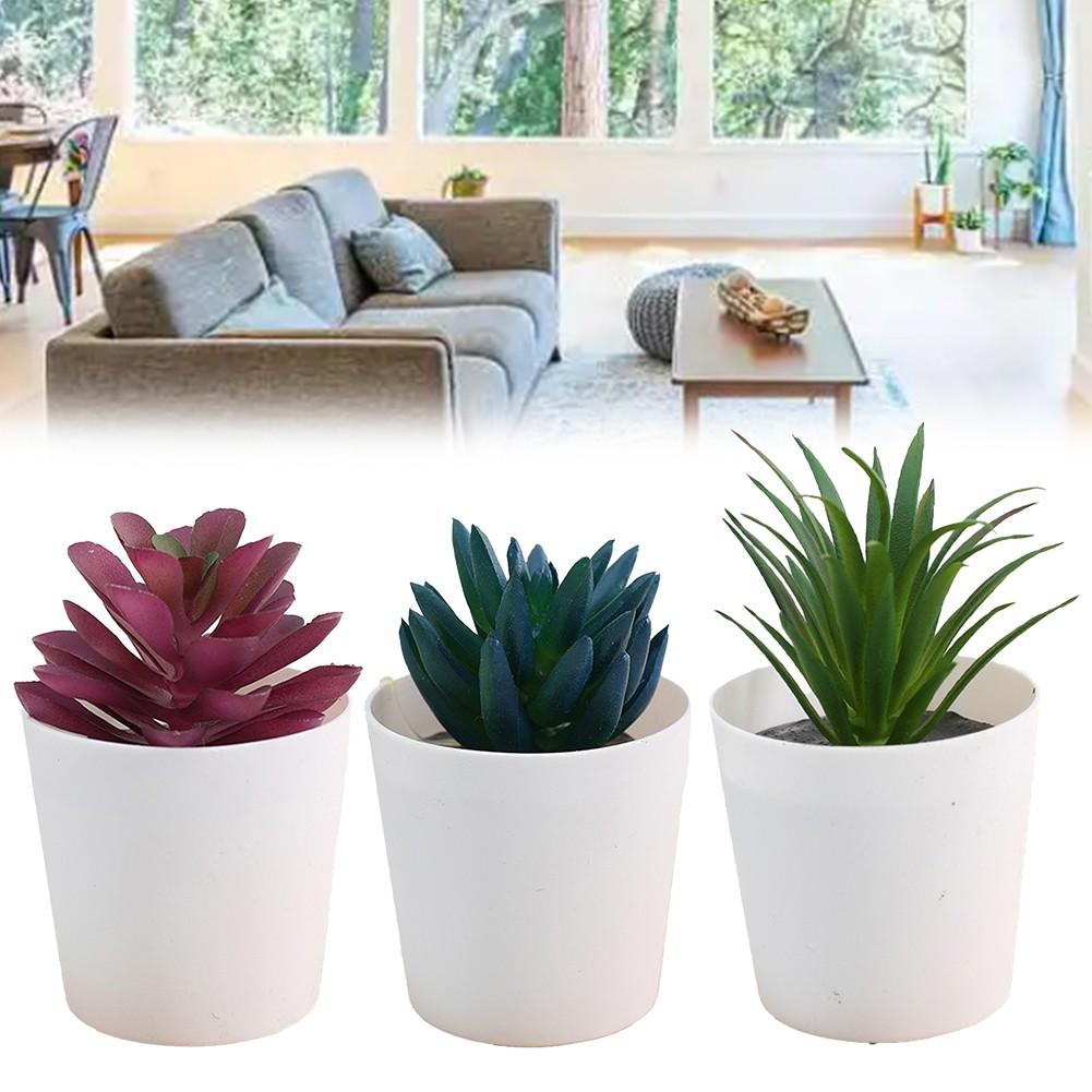 

3 Different Plants Desktop Succulent Set Simulation Plant Decor set2