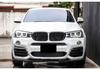 Modified Double Line Grille for BMW X3/X4 (F25/F26 2014-2017)