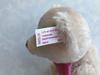 [USED] Steiff 2011 Summer Festival Summer Teddy Bear - Price Reduced Again
