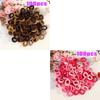 Small Rubber Band High Elasticity Does Not Hurt The Hair Multi Color System 2 Cm Diameter