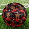 Delta Sigma Theta Size 5 Soccer Ball,Indoor/Outdoor Suitable for Training Matches Tournaments Practice Games Perfect Gift for Fan