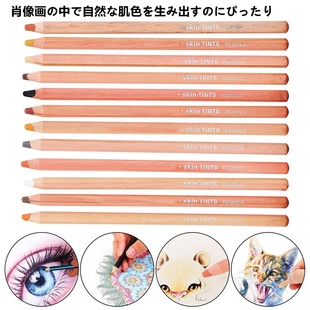 12 Zerodis Pastel Professional Color Charcoal Pencils Portrait Pastel Pencils for Layering and Pencils, Sketching, Shading, Coloring, Blending.