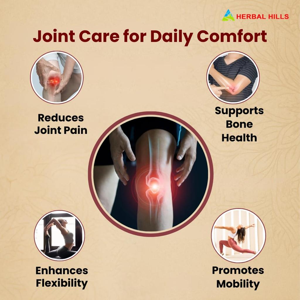 Arthrohills Ayurvedic Pain Relief Capsules – 30 Capsules (Pack of 1)