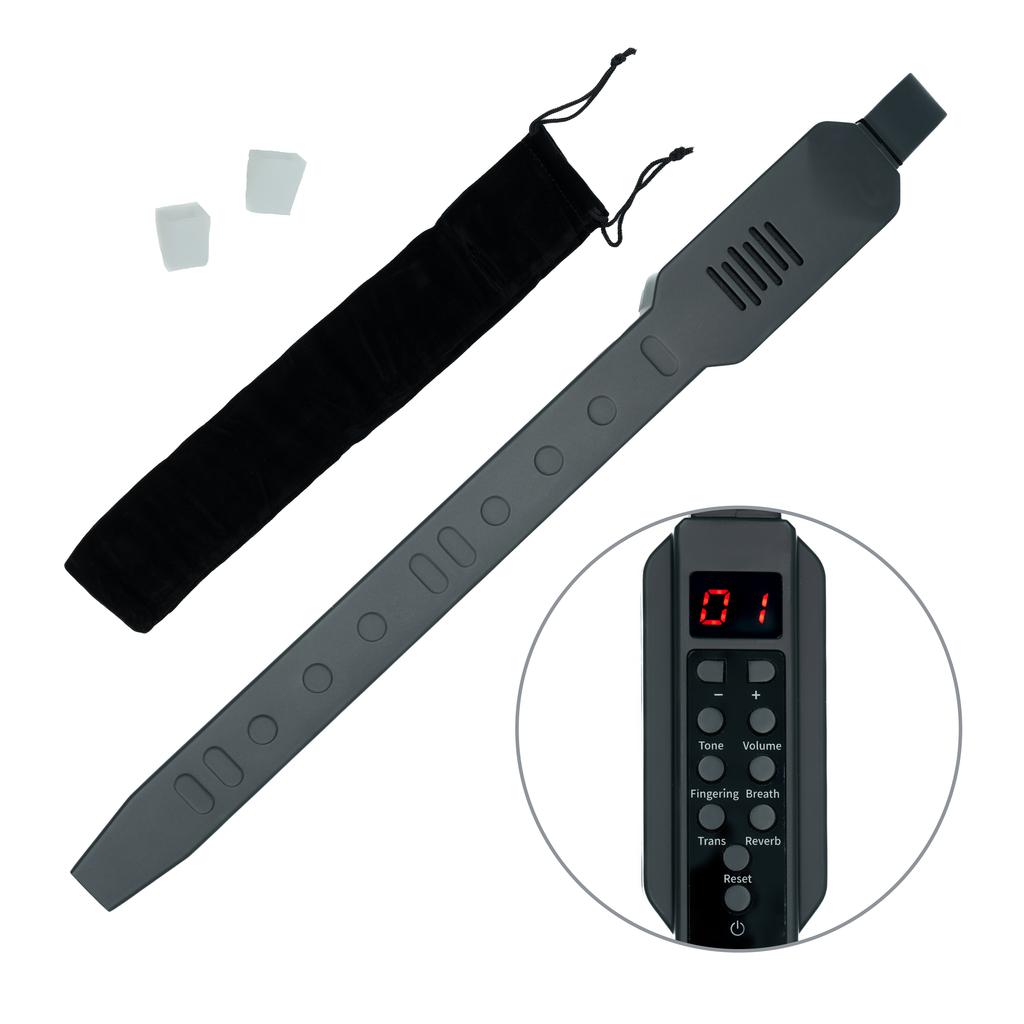 MusicMate MM-D10 AeroTone 10-in-1 Electronic Wind Instrument