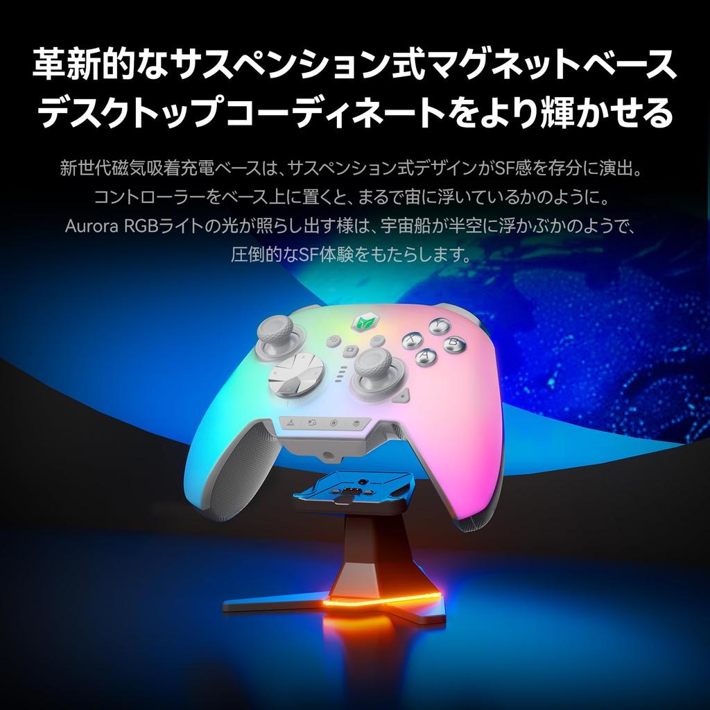 BIGBIG WON Controller-Ladestation kompatibel mit Rainbow Rainbow 2 BLITZ2 TMR BLITZ2 ALPS und Dynasty Warriors ORIGINS Limited Edition Modell Basis, 3,