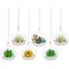 Clear Hanging Glass Vases Transparent Glass Planter Hanging Tealight Holder  Wedding Party