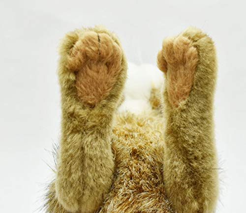 BH6284 HANSA Black-tailed Rabbit 25