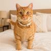 Metal Buckle Cat Collar with Bell Adjustable Pet ID Name Tag Durable Cat Necklace  Traction
