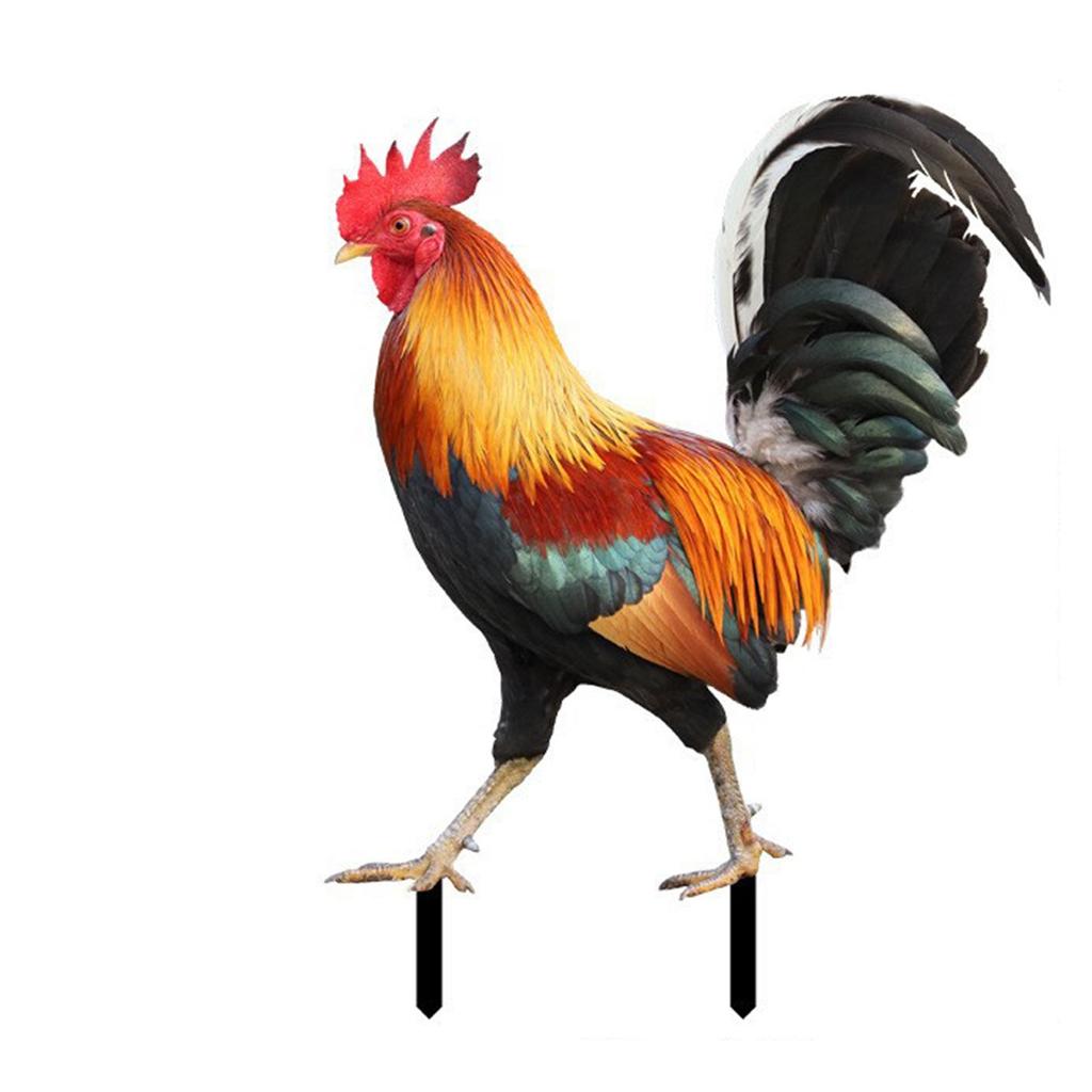 Acrylic Rooster Decor Chicken Yard Art Garden Decoration Ornament, Decor For Outdoor-for Gardens Backyards