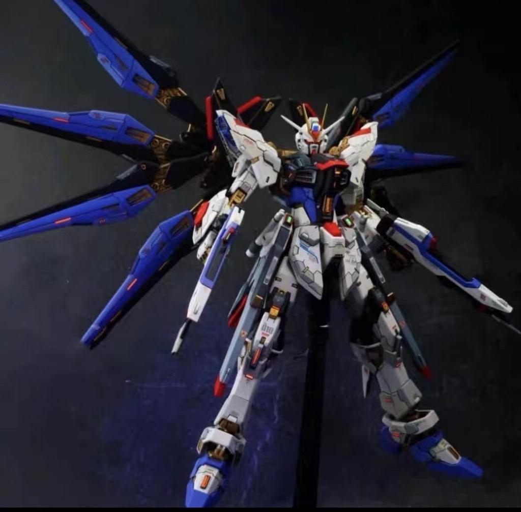 HG Strike Freedom Unicorn Red Astray Gundam Model Building Kit