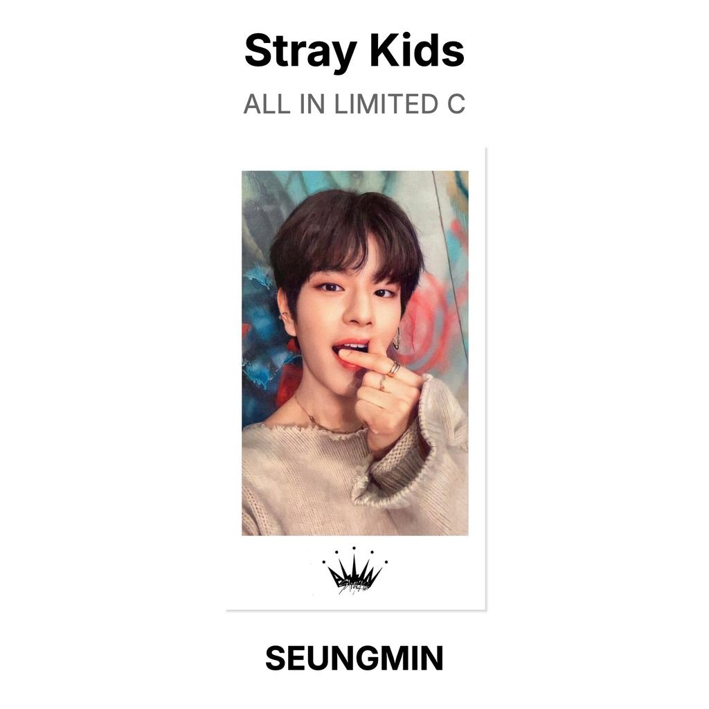 Stray Kids ALL IN LIMITED C Official Photocard