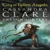 The Mortal Instruments 4 City of Fallen Angels by Cassandra Clare... 9781406330335
