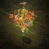 Solar Lawn Lamp Decorative Butterfly Garden Lights Outdoor Landscape Pathway Light IP65 Waterproof Solar Powered Lights