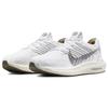 Nike Pegasus Turbo Next Nature White Light Bone Men Sneakers Light-Iron-Ore Iron-Grey DM3413-100
