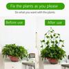 10pcs-pack Plant Climbing Wall Fixture Clips Rattan Vine Fixer Self-Adhesive Hook Invisible Garden Binding Clip Wall StickyClip