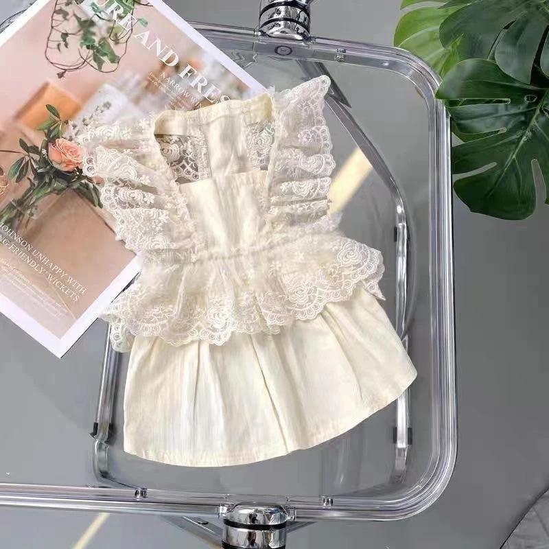 Pet Spring and Autumn Lace Dress Pet Small Dog Teddy Lace Vest Top Cat Thin Dog Dresses for Small Dogs Puppy Clothes