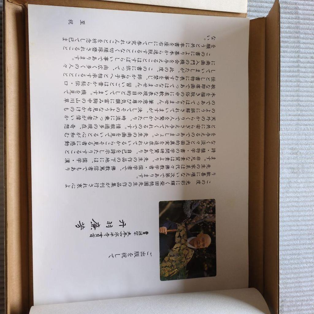 [USED] Nanga Paintings in Praise of the Wind by Toho Shibata, Mokucho-kai